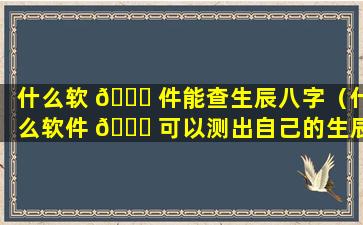 什么软 🐝 件能查生辰八字（什么软件 🐋 可以测出自己的生辰八字）